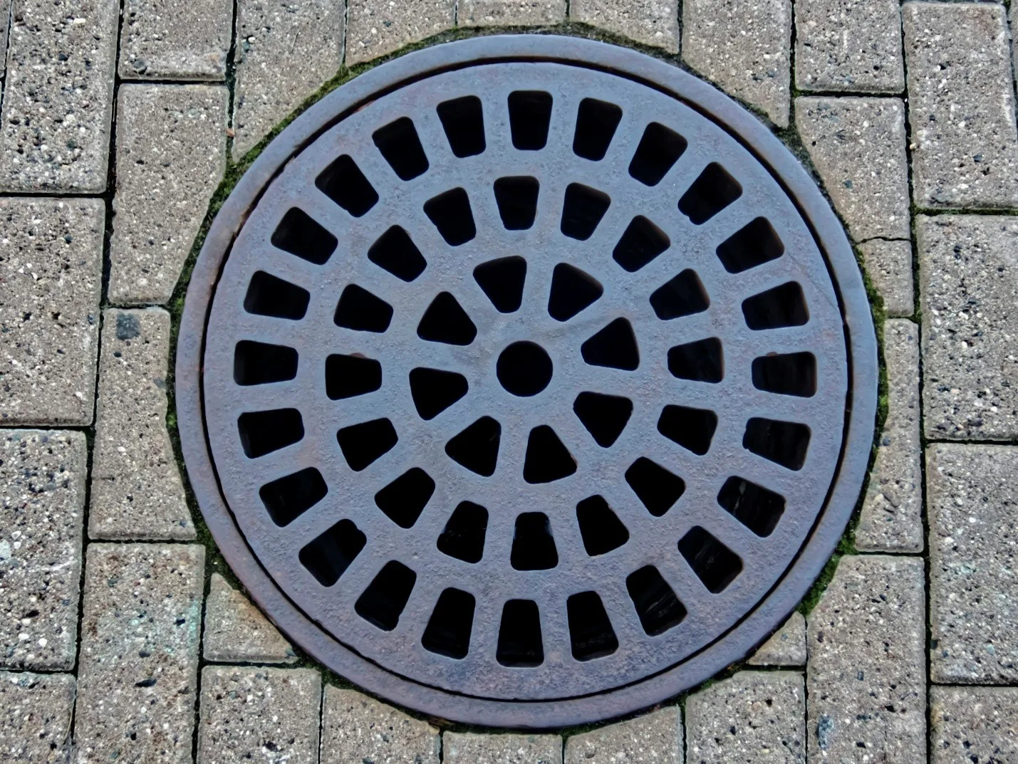 A round metal manhole cover with a grid-like pattern, set in brick pavement, commonly found in Middlesex and Suffolk County. The cover has evenly spaced holes and is surrounded by rectangular bricks with visible mortar lines.
