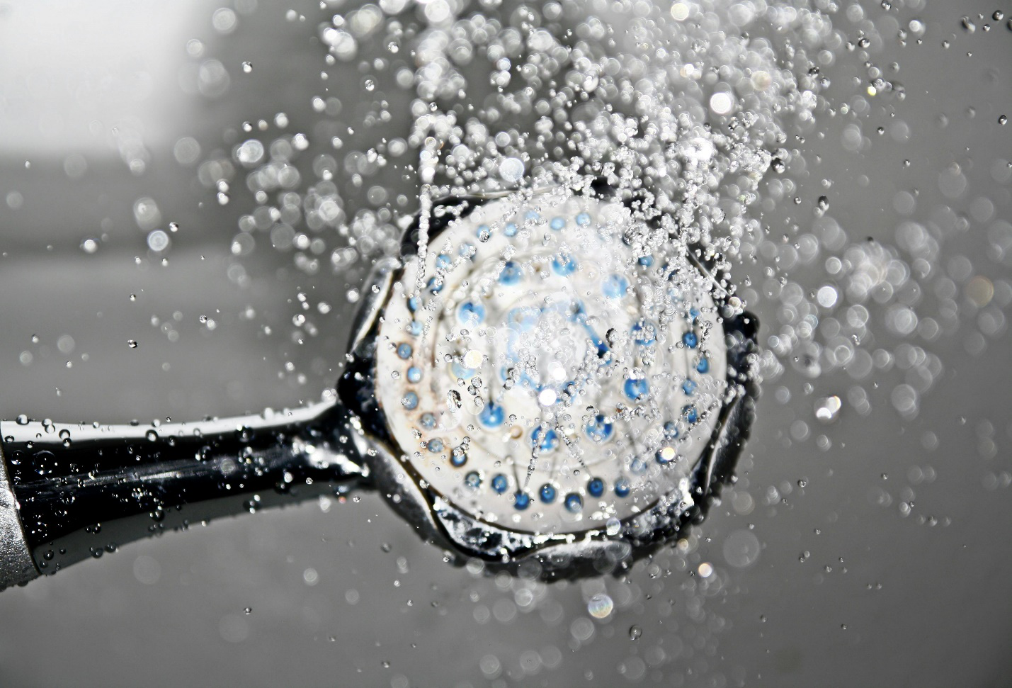 Close-up of a showerhead spraying water