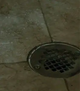 A metal shower drain set into brownish tile flooring, with water droplets and wet areas visible on the tiles around the drain—typical of bathrooms in homes across Middlesex and Suffolk County.
