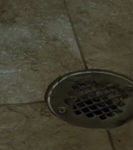 Close-up of a wet tiled floor with water pooling around a metal drain cover, suggesting recent use or a spill—ideal for a plumber Plymouth or Bristol specialist assessing drainage issues.